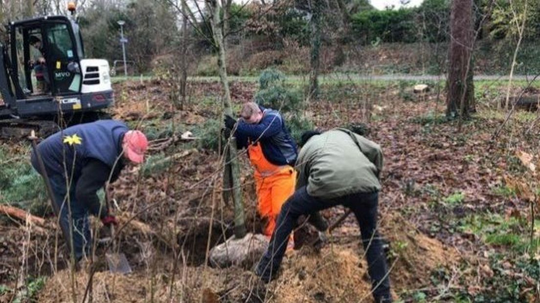 Puttensteins Bos flink opgeknapt