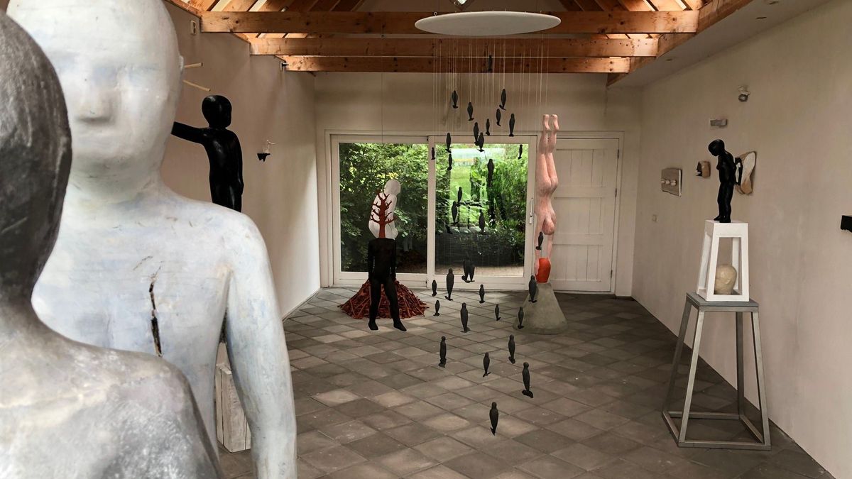 'Wonderkamers': bijzondere expositie in Nijeholtwolde