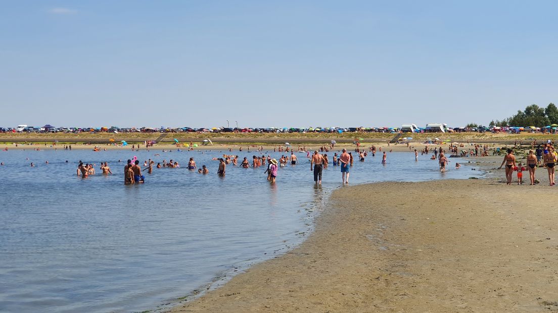 Gemeente Tholen: 'Blijf weg van stranden Sint-Annaland en Bergse Diepsluis'