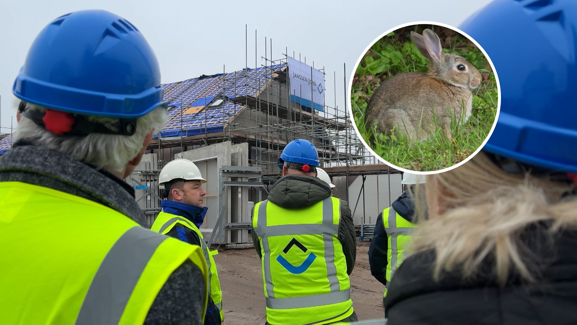 Bouw nieuwbouwwijk deels hervat na maanden stilstand door 8 konijnen en 2 hazen