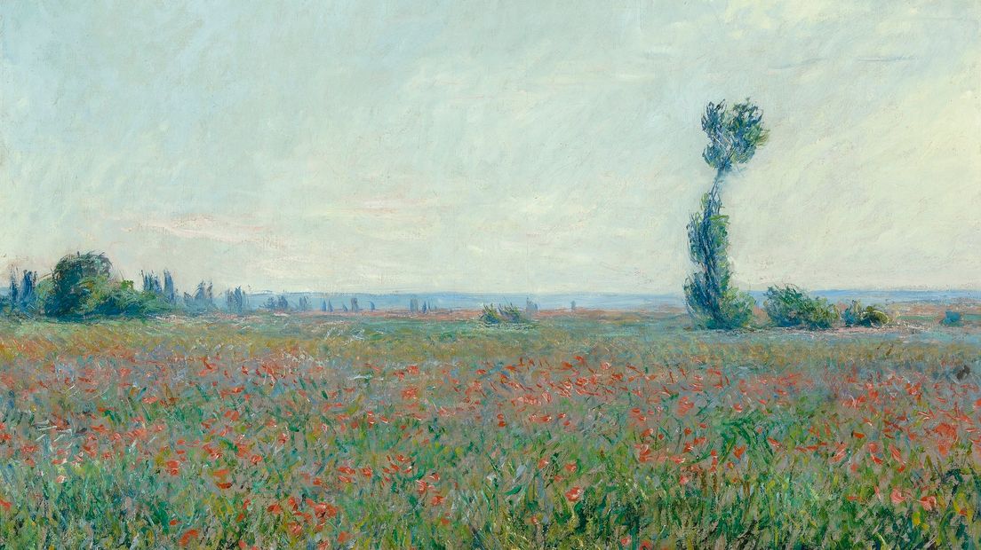 'Champ de coquelicots' van Claude Monet