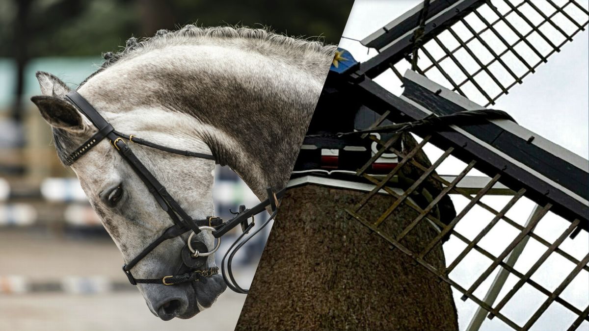 Eropuit dit weekend? Dit is er te doen in Fryslân