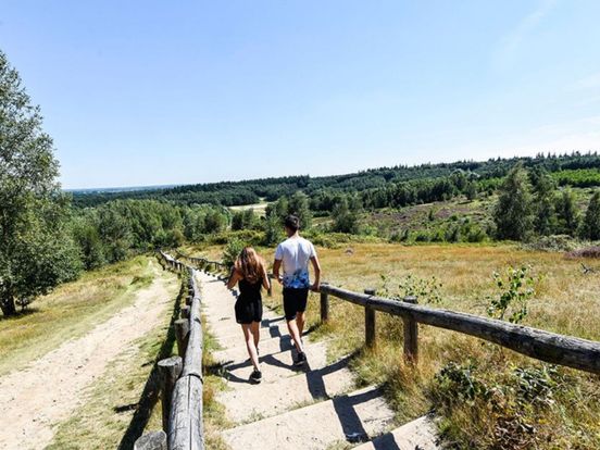 Provincie vraagt miljoenen voor ecologisch herstel Heuvelrug en Beekdalen