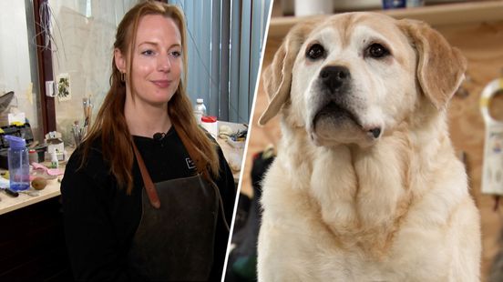 Taxidermist Sophie (37): 'Wekelijks zetten wij hier honden en katten op'