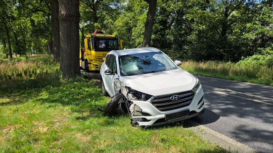 Auto botst tegen boom in Beltrum