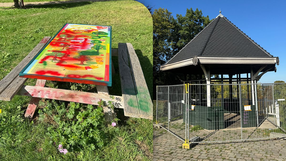 Elsloo is er klaar mee: gemeente wil extra maatregelen tegen vandalen in kasteelpark