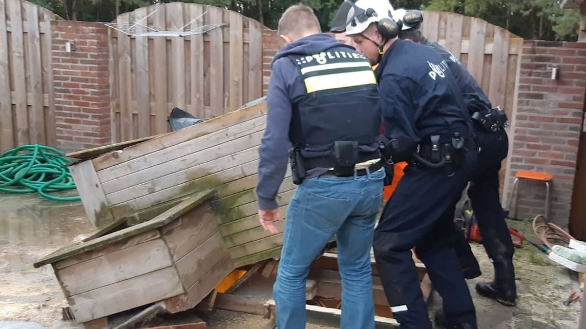 Politie rolt ondergrondse hennepkwekerij op