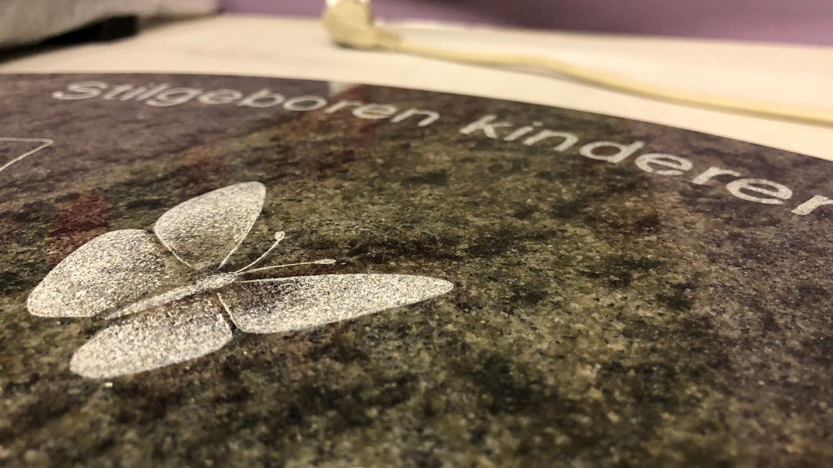 VIDEO: Monument voor stilgeboren kinderen onthuld in Oudega (Sm.)