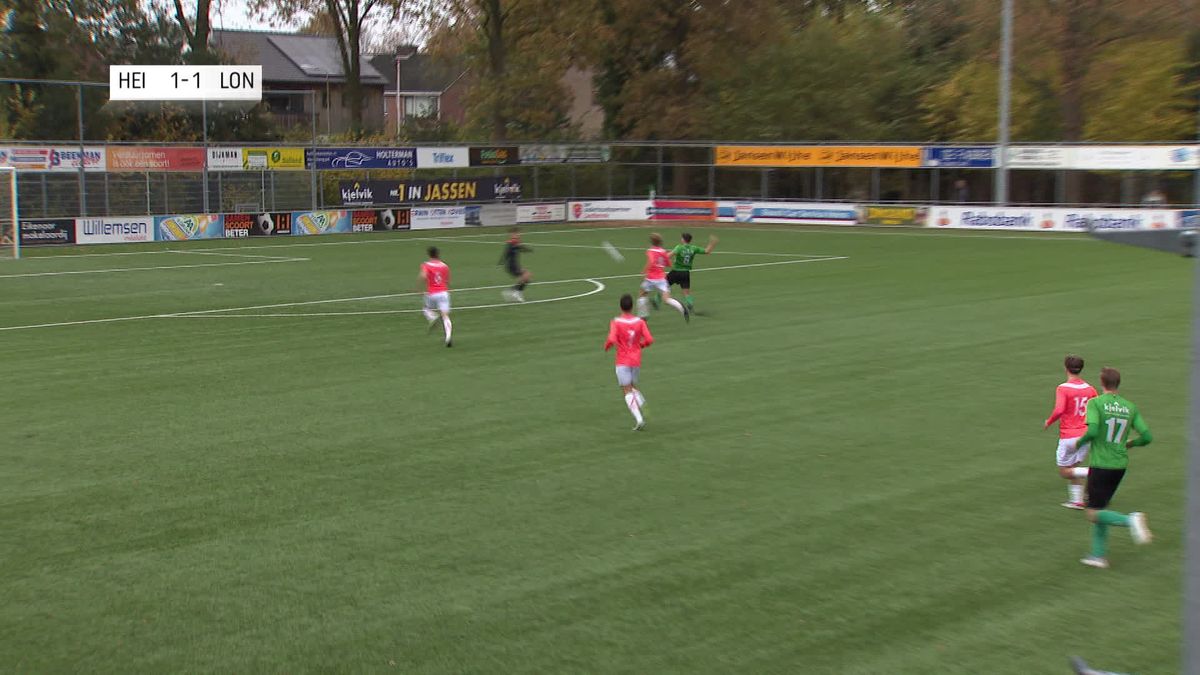 Samenvatting Heino - Longa'30