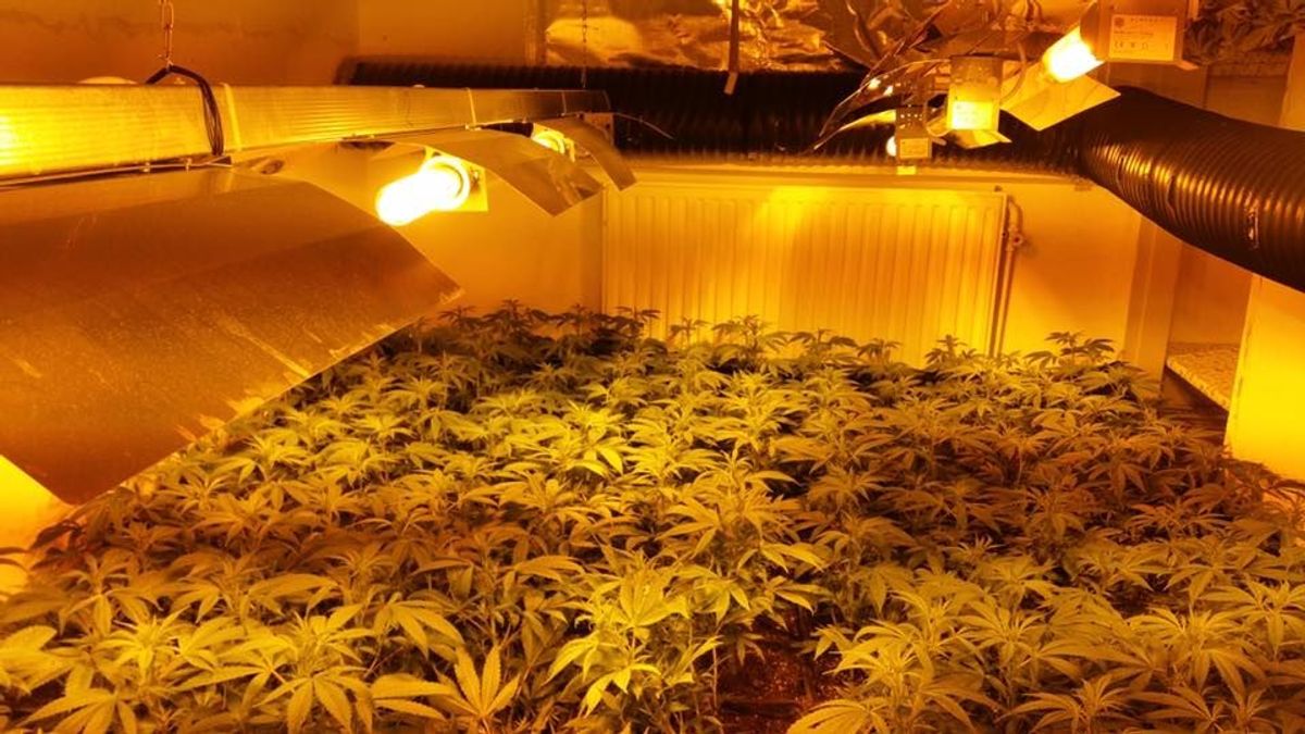 Woning in Vlodrop op slot na opgerolde hennepplantage