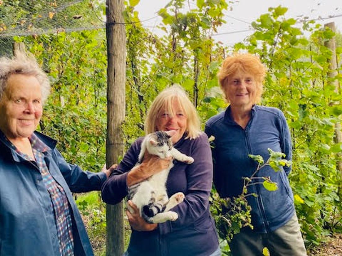 Riek Bakker (l), Maria Heiden met kater Peper en Katrien Prak (r) in de bessentuin