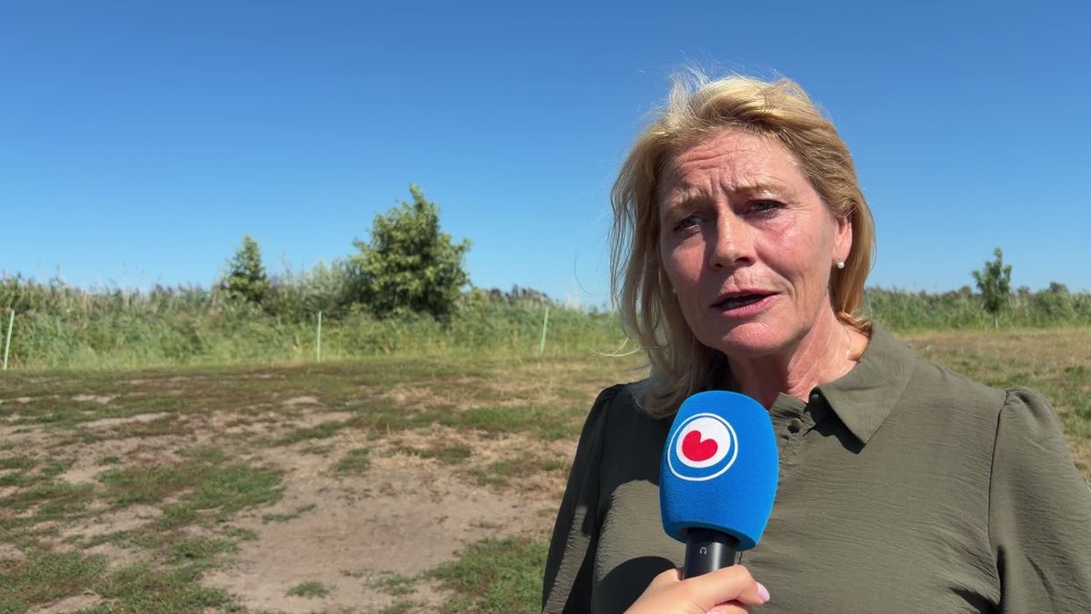 Dieren mogen niet meer op dijken grazen