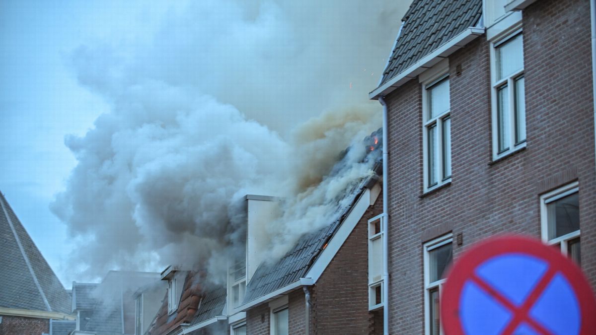 Koe houdt politie bezig bij Leeuwarden | Gewonde bij botsing in Bakkeveen