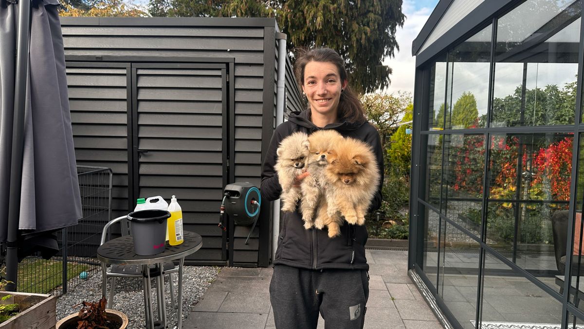 In haven gevonden puppy's opgevangen door Amber: 'Het is de vraag of de kleinste overleeft'