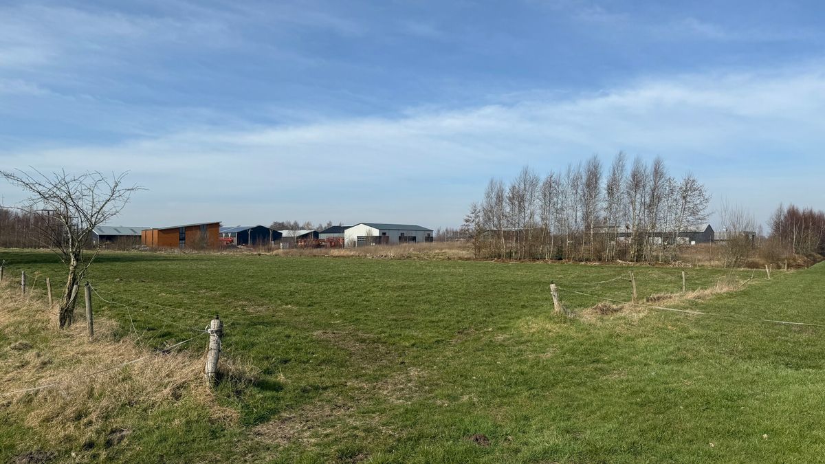 Gemeente Westerveld mag van rechter honderd woningen bouwen in Dwingeloo