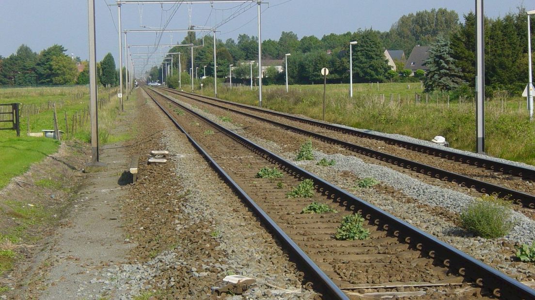 Spoor