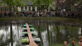 Paarden niet van Dwingelermarkt weg te krijgen