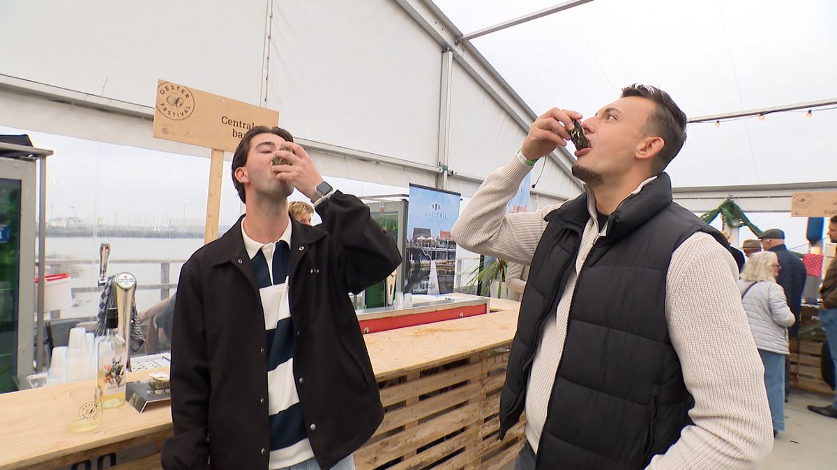 Oesterfestival in Yerseke ziet steeds meer jongeren: 'Ze komen uit Maastricht, Amsterdam, Brussel, A