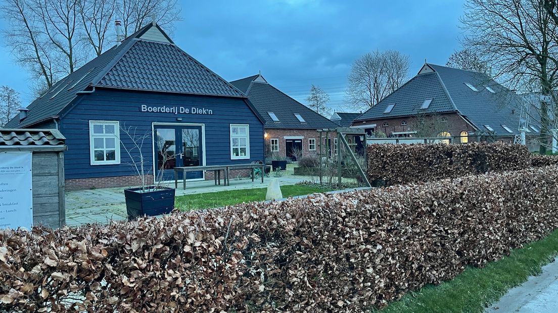 Boerderij De Diek'n in Zeerijp