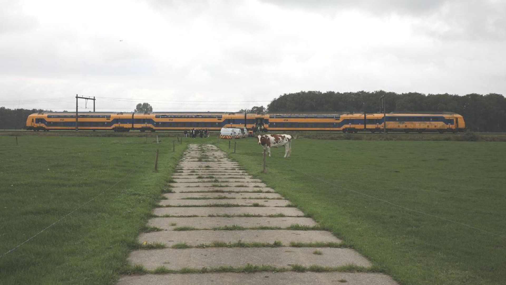 Trein strandt bij weilanden, passagiers geëvacueerd