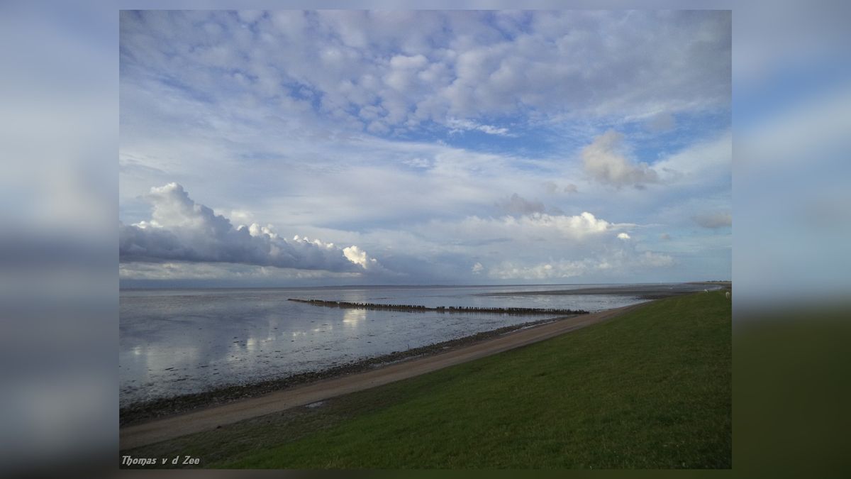 ''Veel mensen tegen komst pier en zwembad bij Wierum''