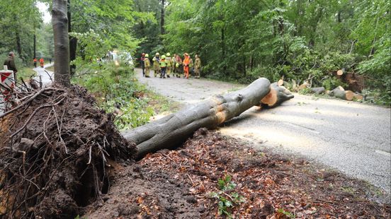 Meerdere bomen sneuvelen door valwind; weg bezaaid met takken