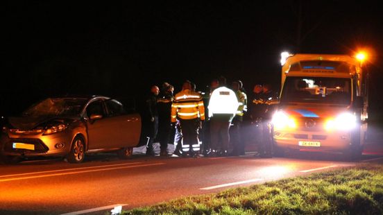 Voetganger en hond overleden na aanrijding. Voetganger en hond overleden na aanrijding.