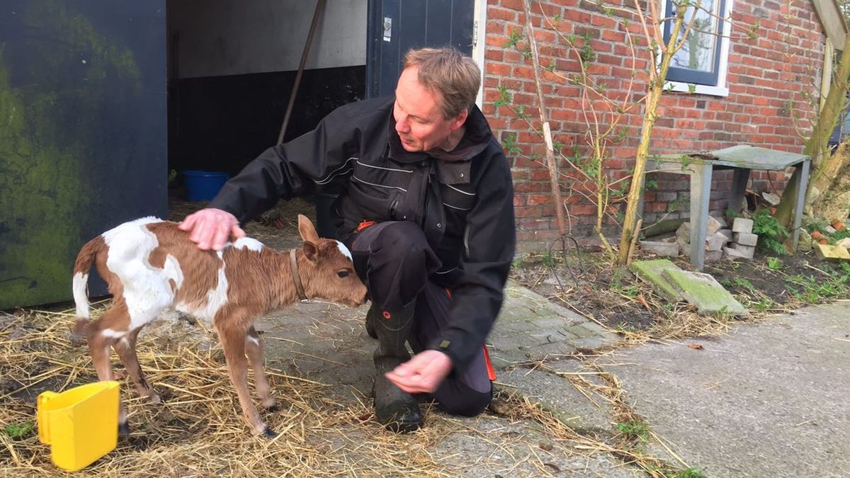 Maak kennis met Lily: een 'kleine verrassing' in Oldekerk