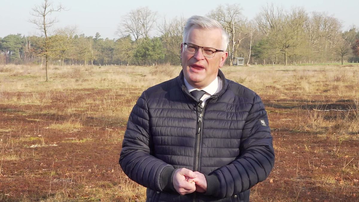 'Eenzijdige focus op stikstof' aanpak natuurherstel De Borkeld van start