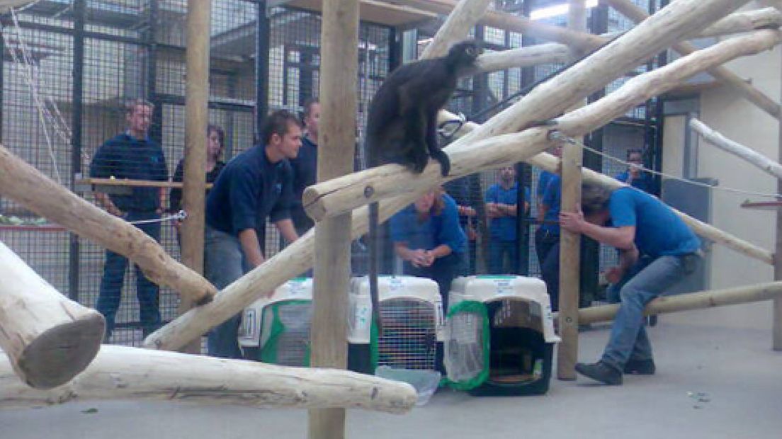 Nieuwe bewoners voor Burgers' Zoo