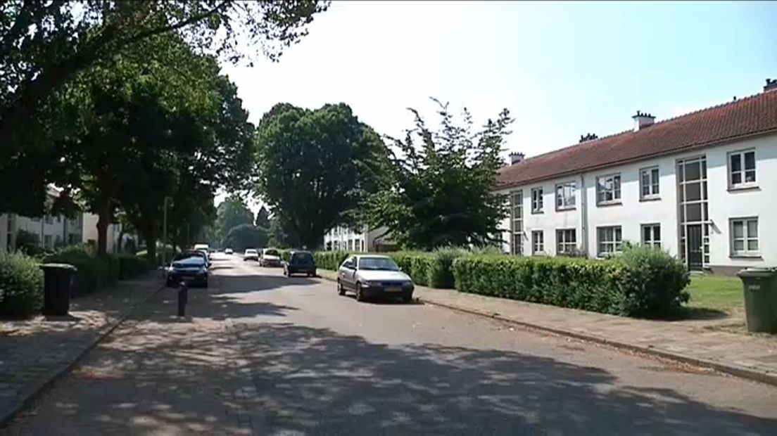 De woningen in Zeist.