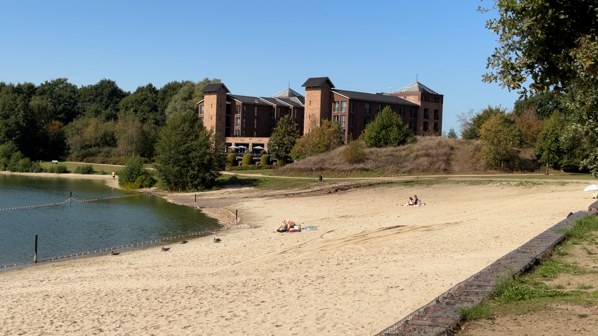 Blauwalg in Kasteelse Bossen tempert zomerse pret