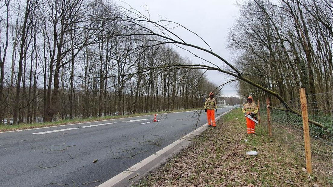 Een boom versperde de toerit naar de A35 bij Borne