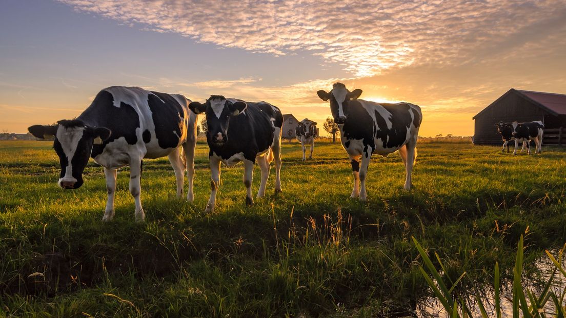 Het wordt in de toekomst mogelijk erg moeilijk voor boeren bij de bank geld te lenen