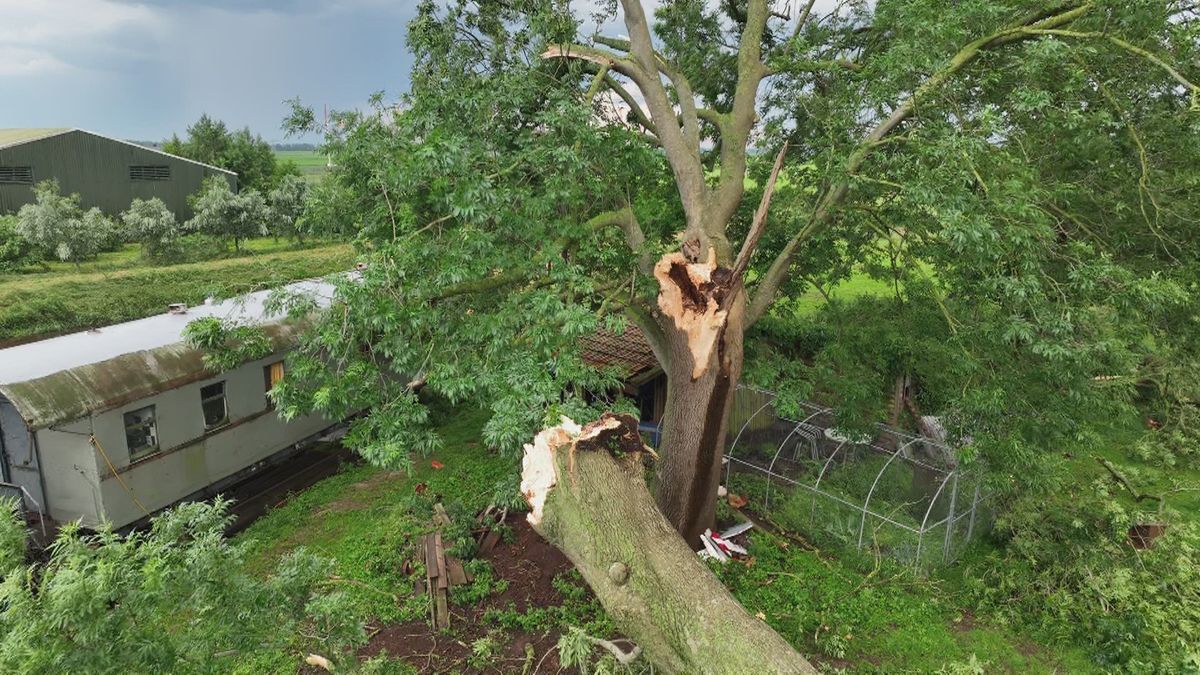 Bomen omgewaaid in Zuidbroek