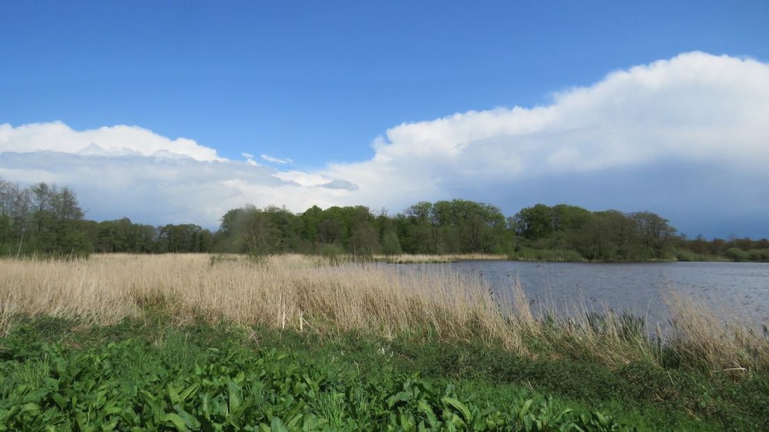 Het Zuidlaardermeer wordt schoner (Rechten: Jennie de Boer)