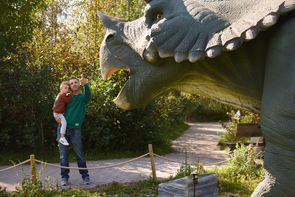 Het gaat om verschillende soorten dino's die te zien zijn