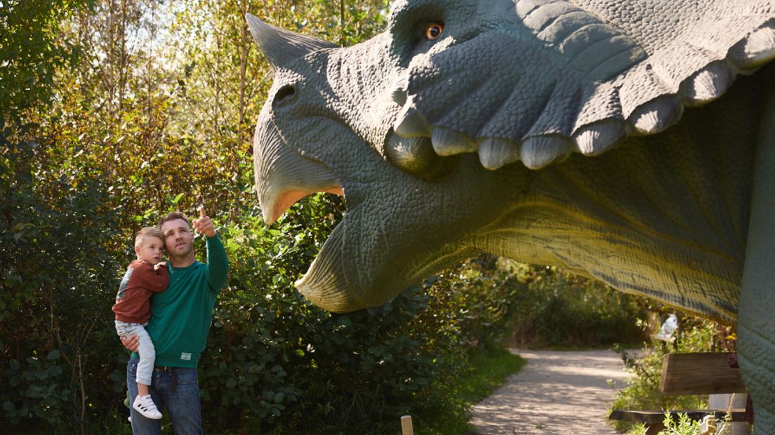 Het gaat om verschillende soorten dino's die te zien zijn