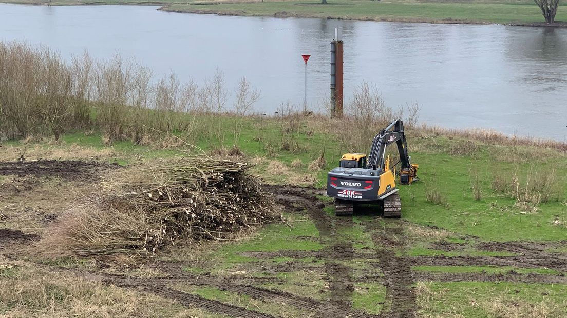 Kraanmachinist trekt de wilgenboompjes één voor één uit de grond