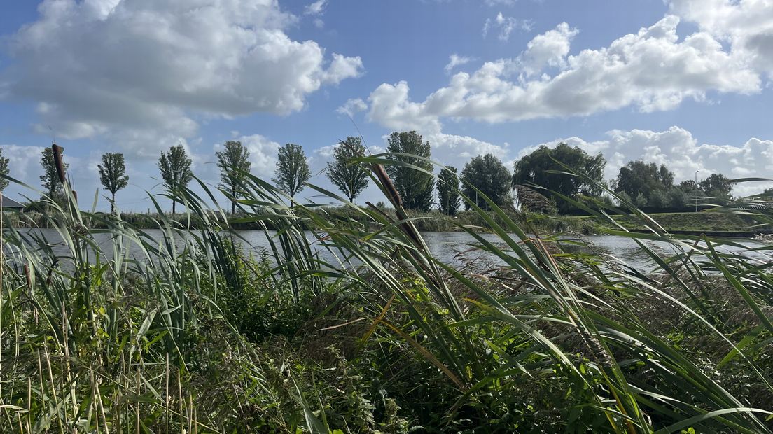 Zon en harde wind