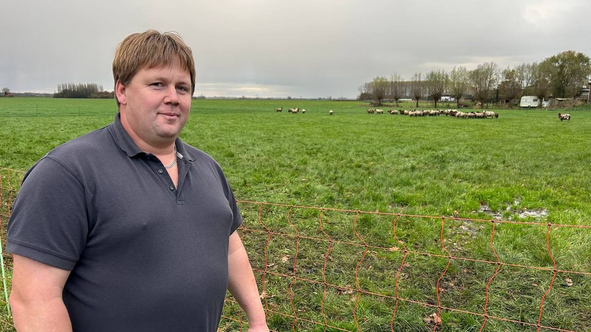 Schapenboer Christian in spagaat: 'Wolfwerend hek arbeidsintensief en kostbaar'