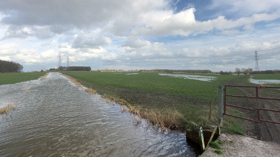 Kade lek; waterschap zet natuurgebied onder water - Omroep Gelderland