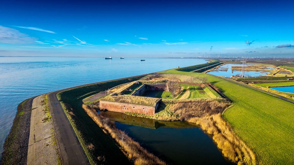 Zeeuwse vlinders en vleermuizen overleven de winter dankzij deze schuilplaatsen