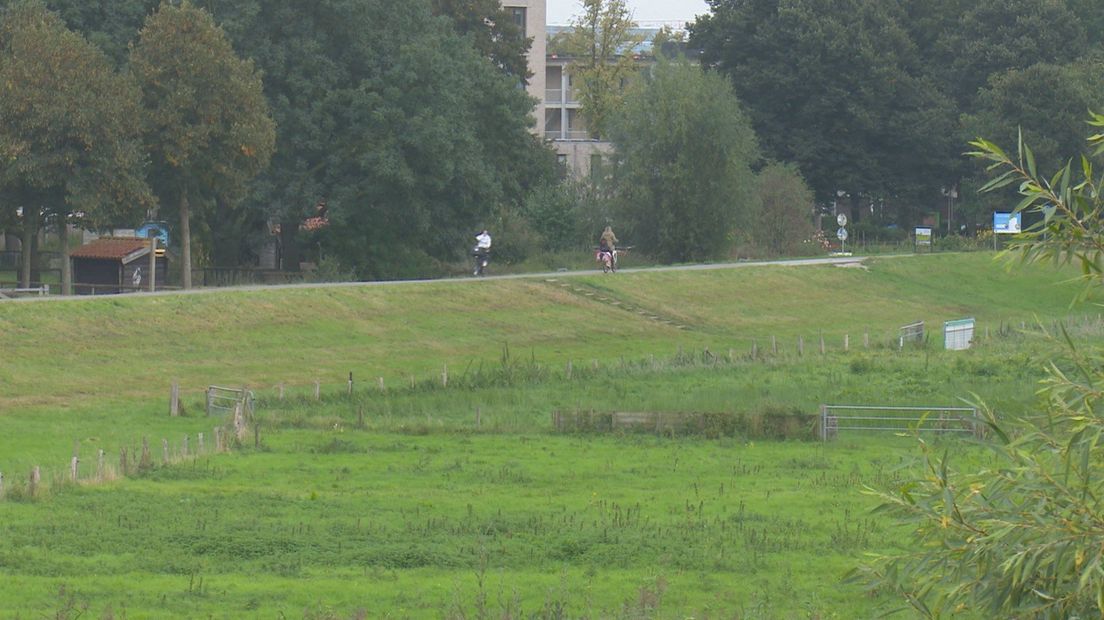 Kilometerslange dijk in Zwolle moet worden aangepakt