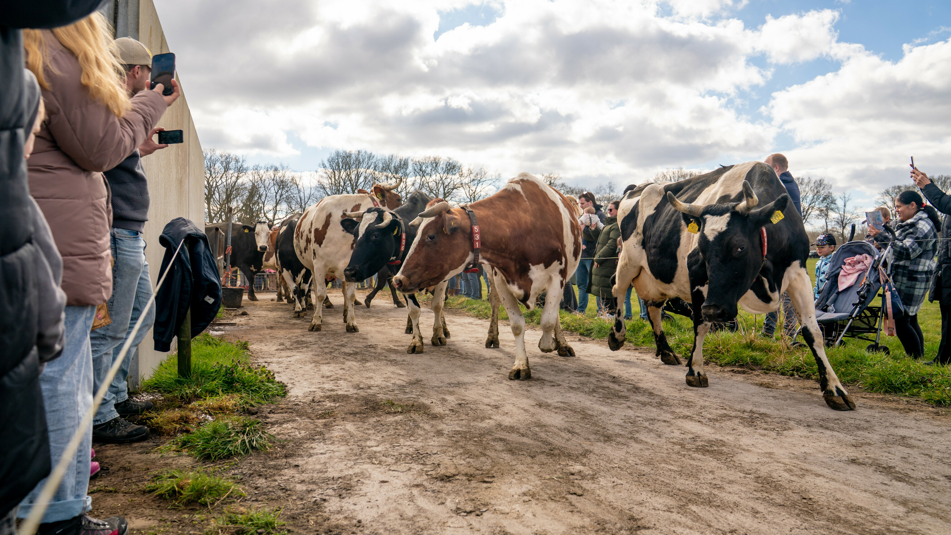 Wat is er dit weekend te doen in Drenthe?