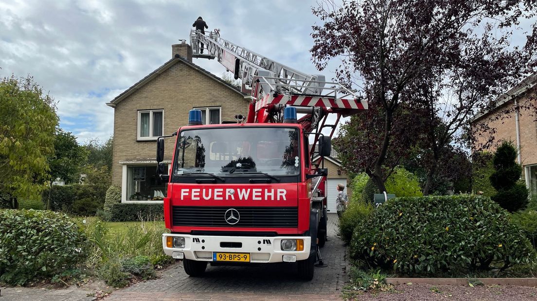 schoorsteenveger