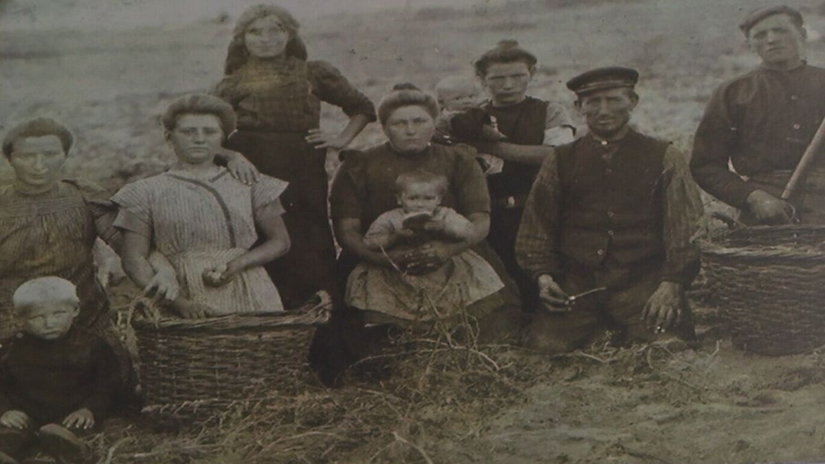 Een timmerman, directeur en wetenschapper: 'Alsof uit het veen geen knappe koppen konden komen'