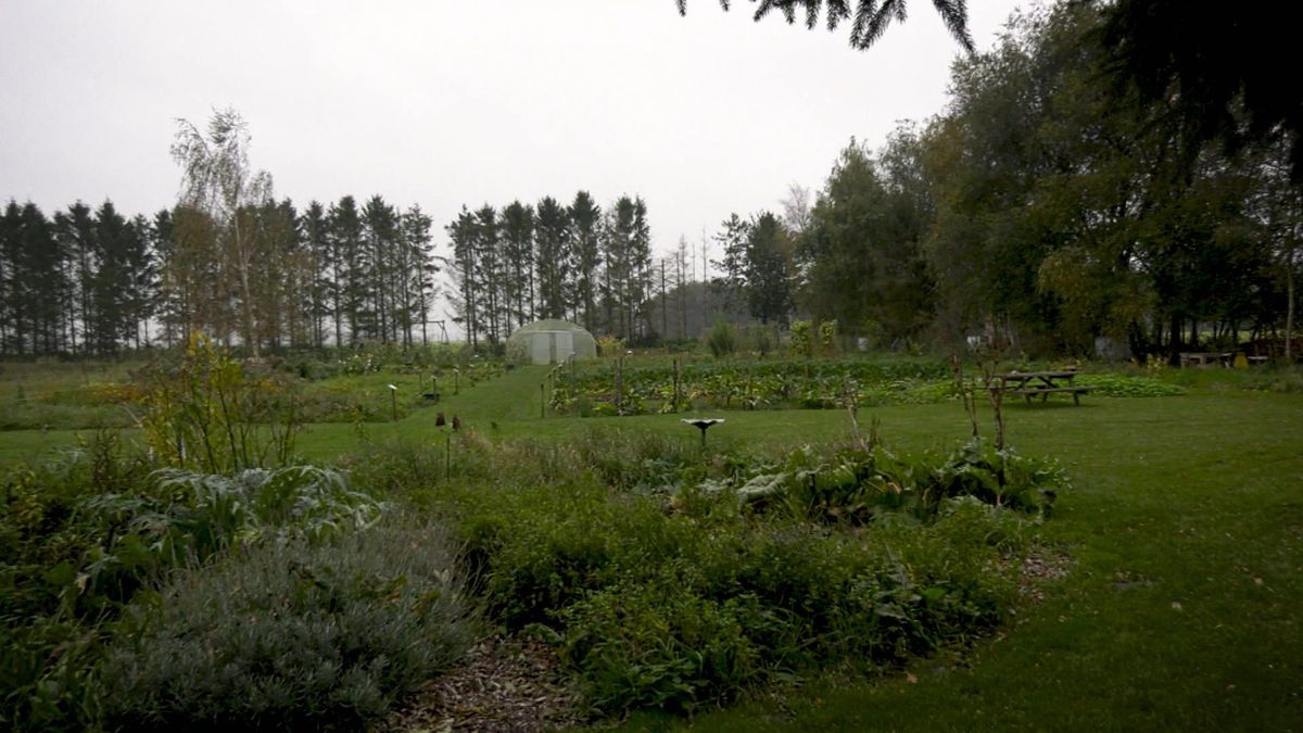 Tuin voor Zwaantje: 'Hier eet je wat de natuur en de tuin geeft'