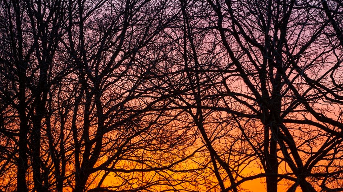 Een prachtige lenteochtend net voor zonsopkomst (Rechten: Karin Broekhuijsen)