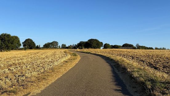 Nieuwe hittegolf in grote delen van Limburg een feit Home